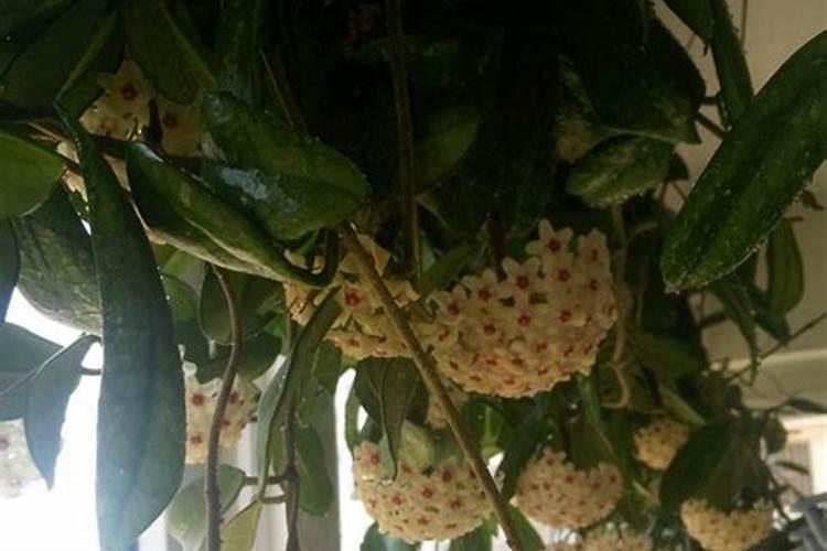 在夏天,给蔬菜浇水是早上这个时段好还是晚上好