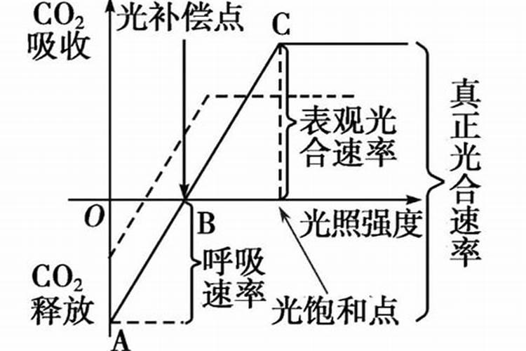 供给侧改革,新增产能受限,化肥产能严重过剩的时代已经过去!