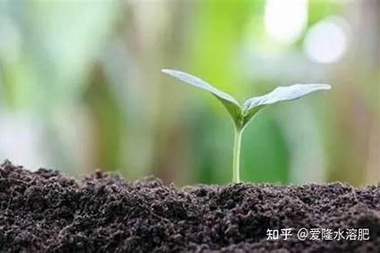 全国严查农资人!犯这几件最高判刑15年!罚款10倍!