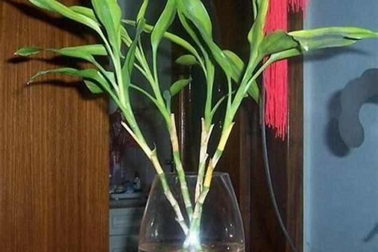 白糖喷在农作物上对农作物有什么好处？