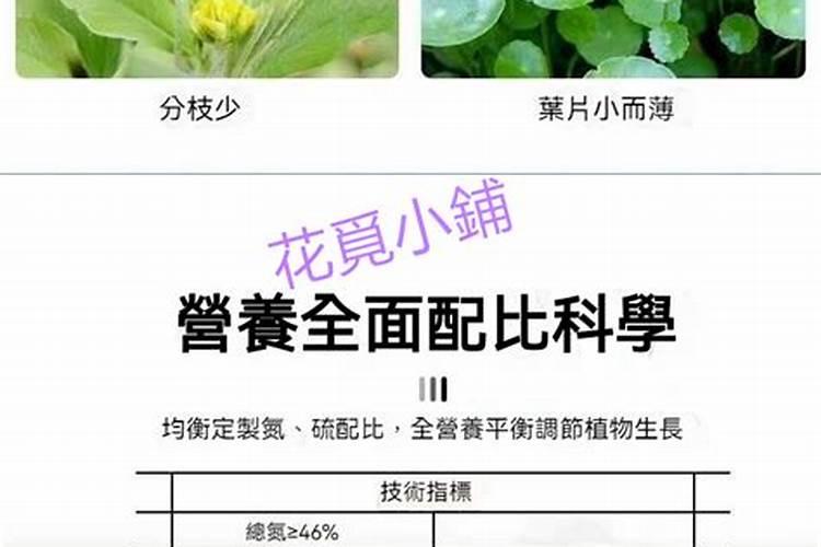 如何挑选新鲜优质的黄瓜？目前市场上的黄瓜多钱1斤？