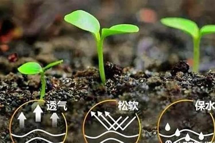 难道零售价一袋5元钱的香巴拉牛肉干就不能做网购吗？