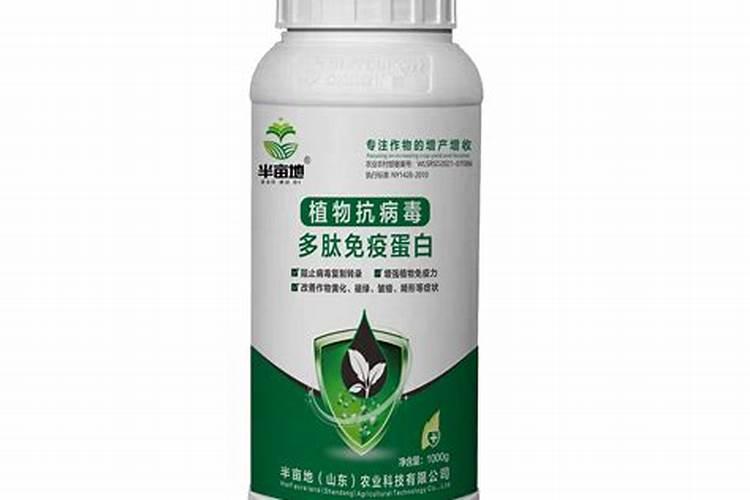 西红柿挂果期打什么叶面肥长的快？西红柿膨大期用哪些肥料好？