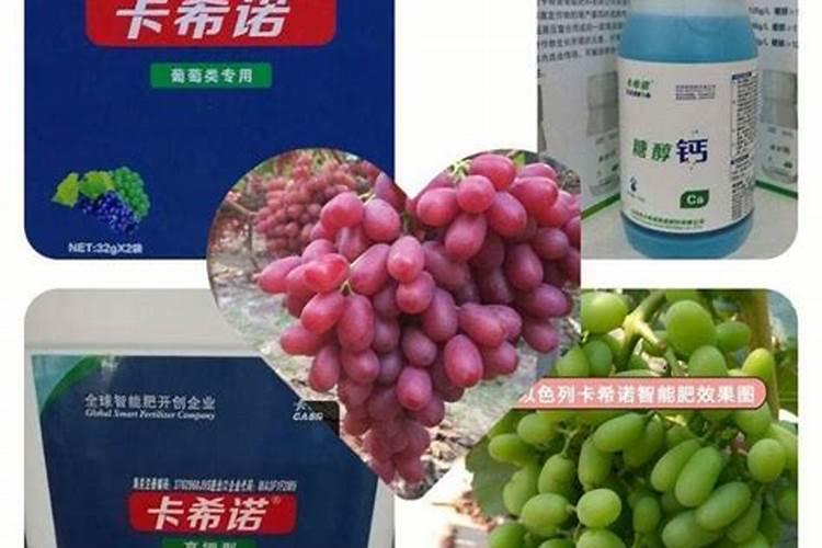 葡萄施用钾肥的重要性及其技术