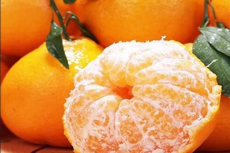 小麦的生长过程