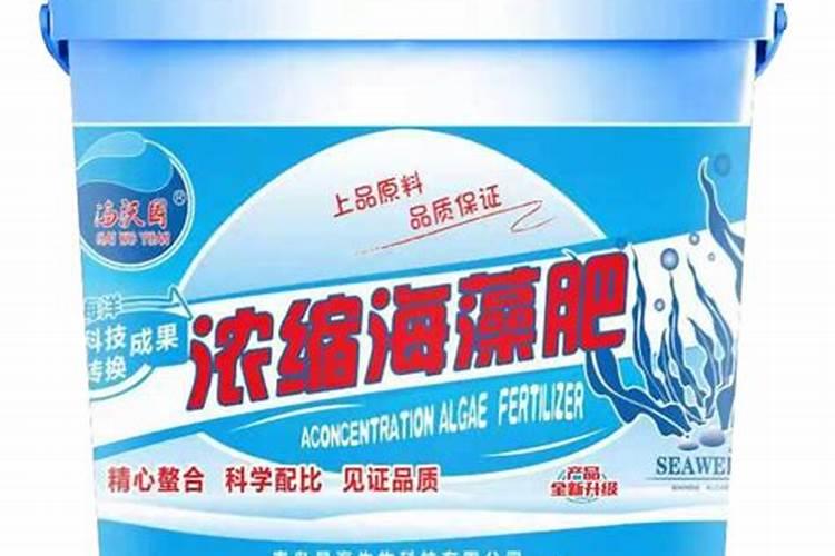 最好的海藻精是哪家