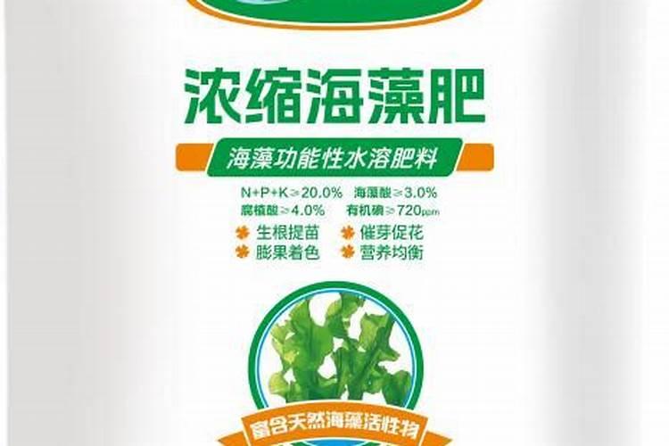 揭秘:海藻有机肥到底好不好？