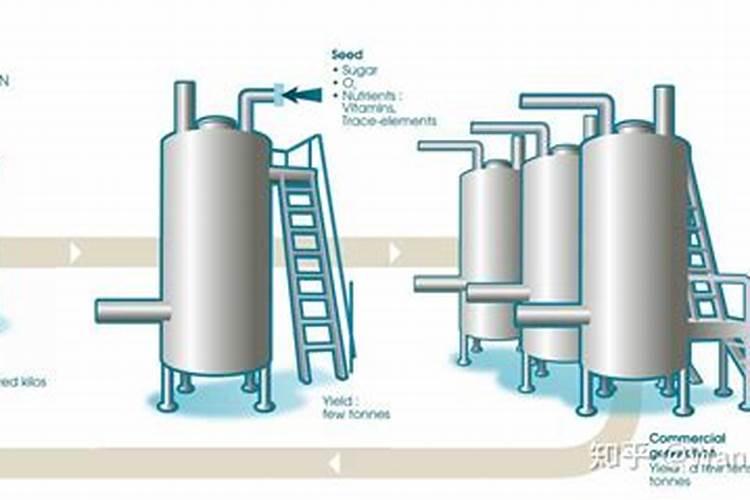 人的粪便怎么变成肥料