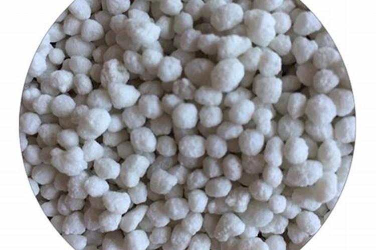 花斑果是什么 花斑果是什么意思