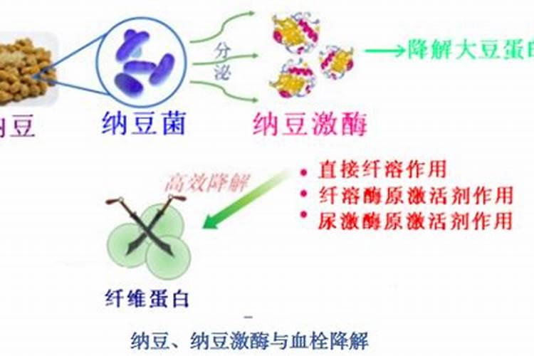 微生物污水处理