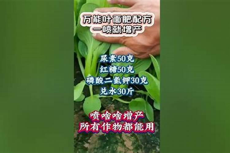 叶面肥配方一览表