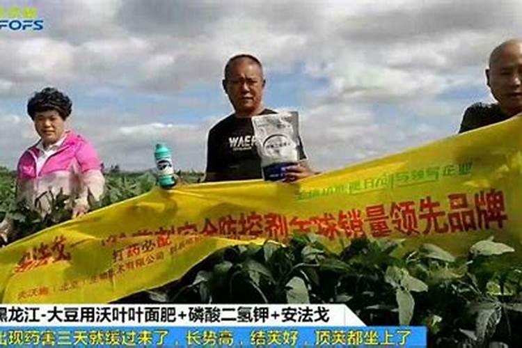 马铃薯用什么叶面肥好 打几次效果好