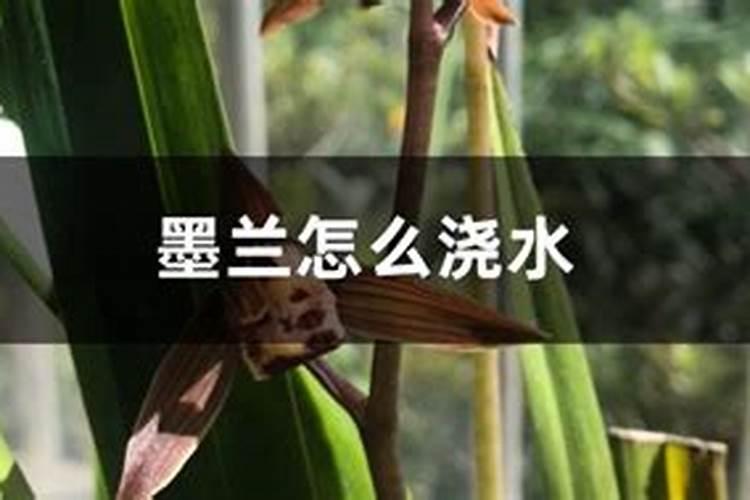 拉多美属于什么档次