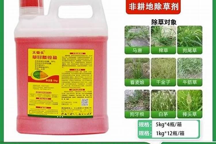 哪个牌子的叶面肥好？