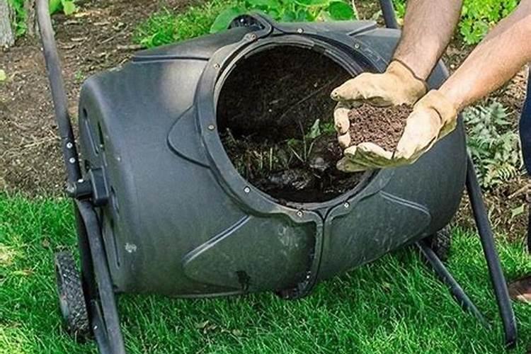 养栀子花的肥料 栀子花最好的肥料是什么怎么施