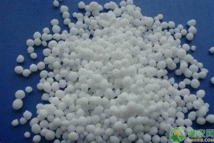 鱼塘氨氮高,可以用小苏打吗？这一套处理思路才是关键!