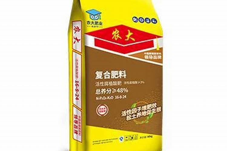 杨梅苗木种植后多久成活？