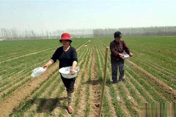 磷肥与尿素能不能混合