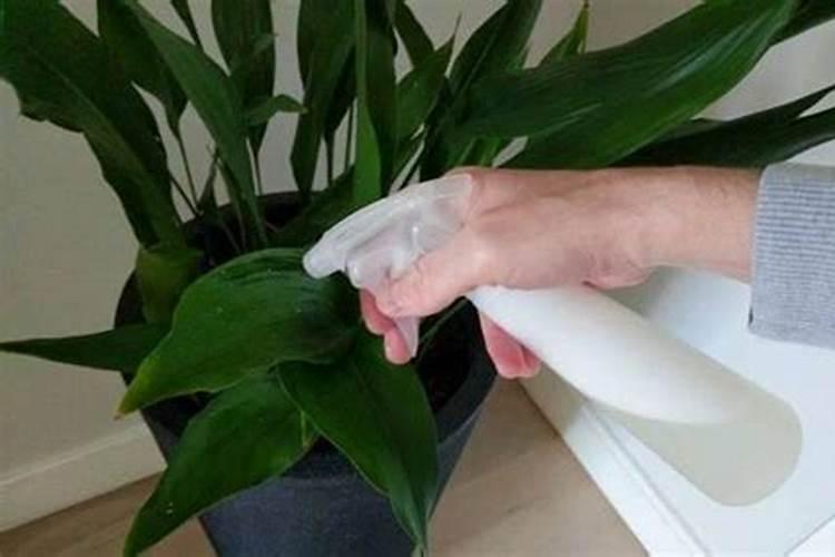 如何自作氮肥