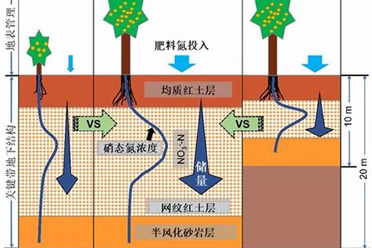 氮肥对土壤的影响~