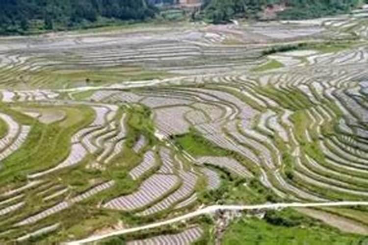 硝酸铵的施用方法及注意事项有哪些？