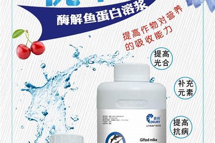 鱼蛋白肥料的使用技巧