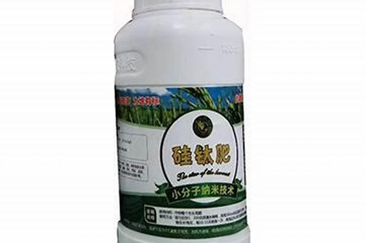 生姜种植时间,生姜应该如何施肥