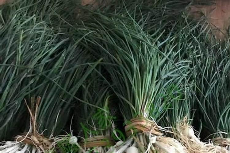 莲藕怎样施肥,施什么肥。藕又白又嫩