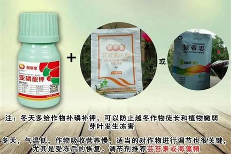 亚磷酸钾能不能芸苔素混用