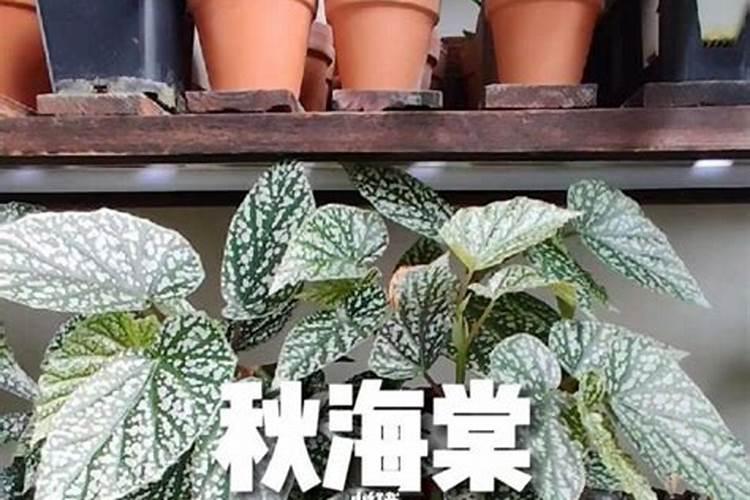 小麦种上以后几天浇地好？