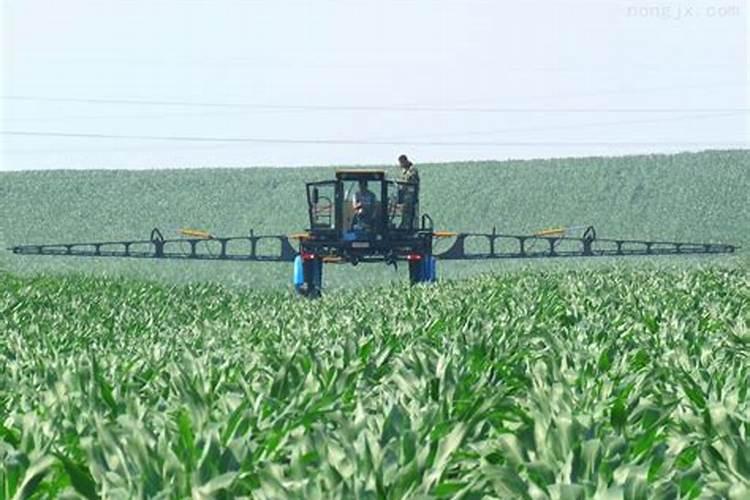 钾是庄稼不可缺少的一种元素,它的作用是什么？