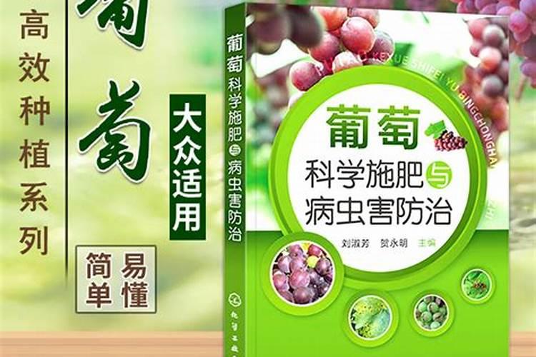 七月葡萄管理 病虫害怎么防治