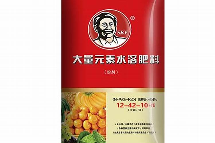 老家种植的番茄总是长不大,究竟是怎么回事呢？