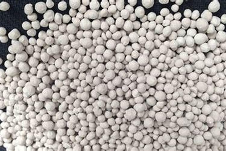 露地茄子种植管理技术