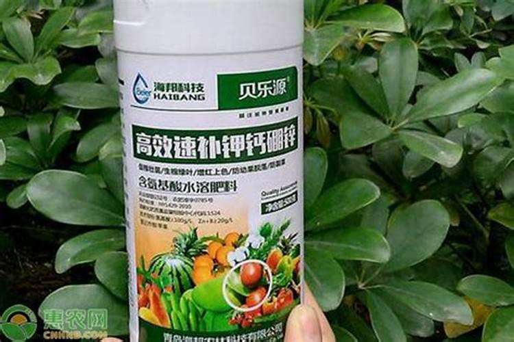 黑旋风杀虫剂的压缩剂是什么成分