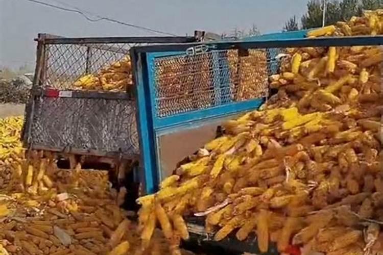 矿源黄腐酸钾使用方法