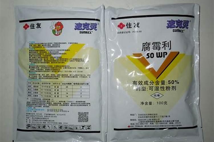 大蒜菌核病怎么办