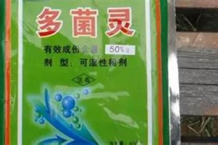 鱼蛋白水溶肥现在怎么用