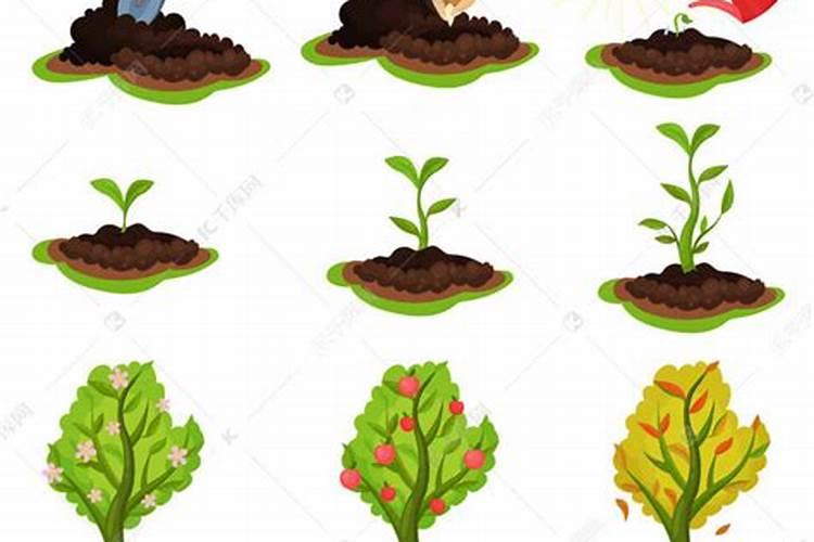 哪个知道室内适合种植什么菜？能不能具体说一下。