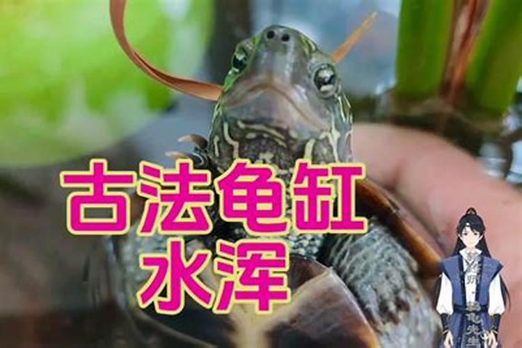 氮肥是什么肥料制成的 什么叫氮肥？氮肥