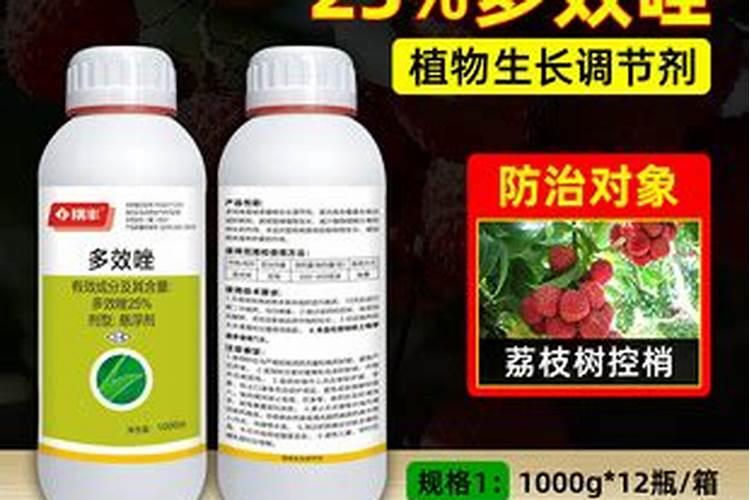 用什么药促进花芽分化