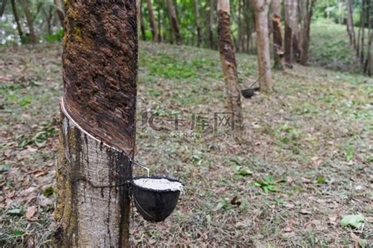 沃益多的使用方法