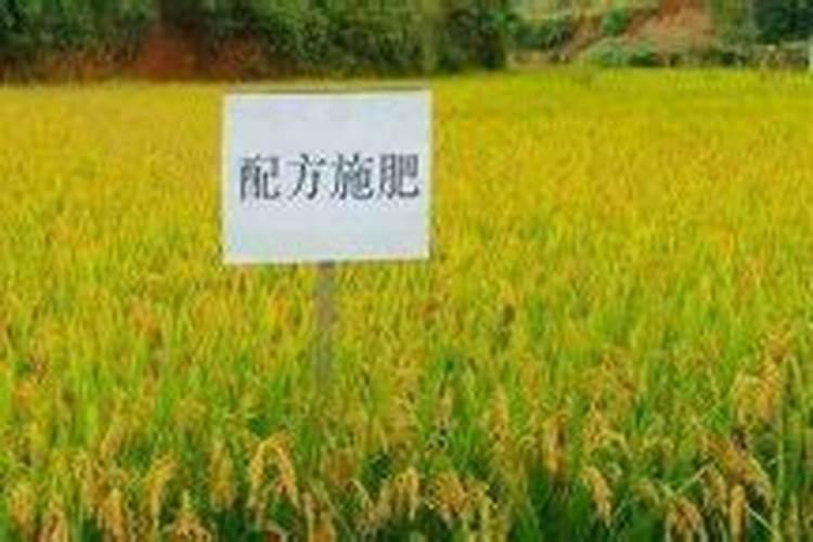 合理施肥的原则是什么？