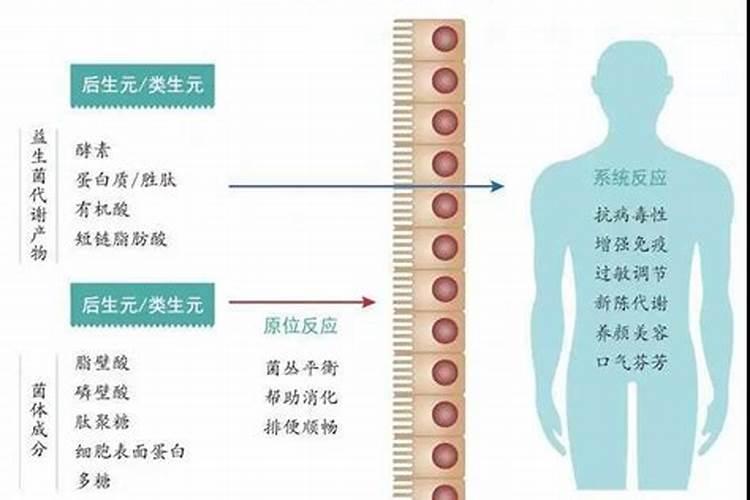 制作花肥用什么酵素