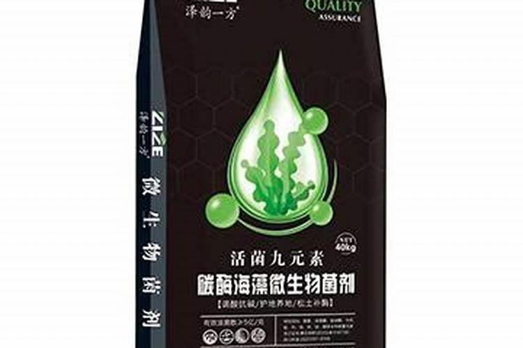 给长寿花促花用什么催花肥