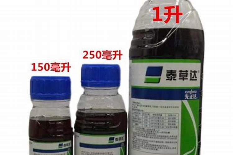 绿萝怎么换盆换土