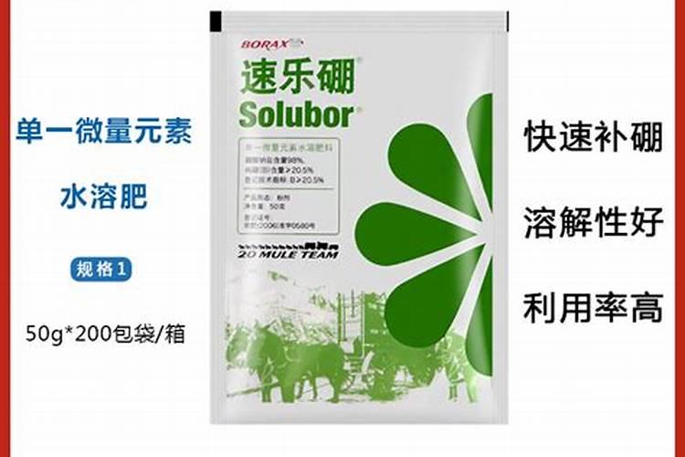 恩基爱是什么意思