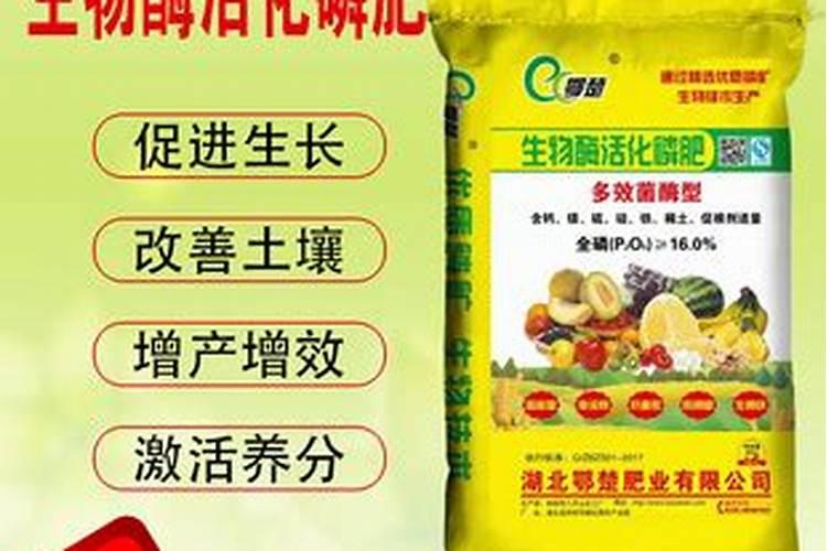 肉肉植物不施肥可以吗