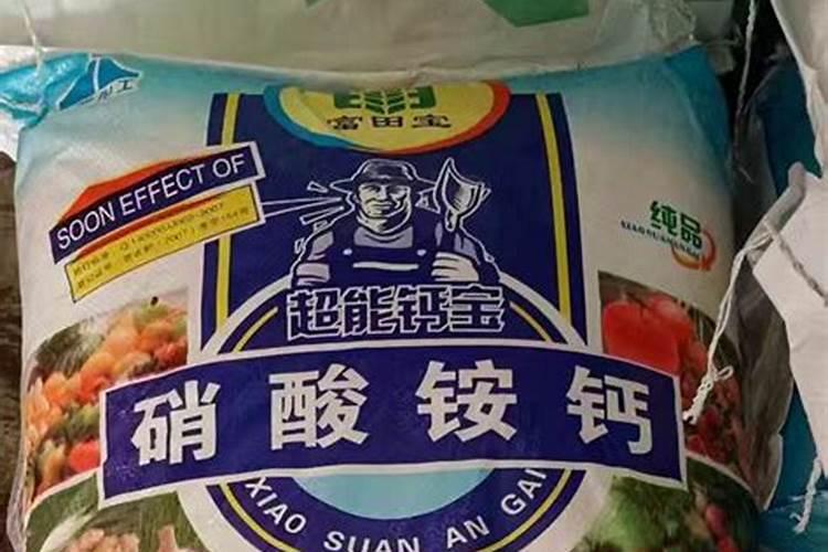 怎样判断鱼蛋肥的好坏