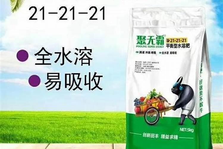 秋白菜用什么化肥合适